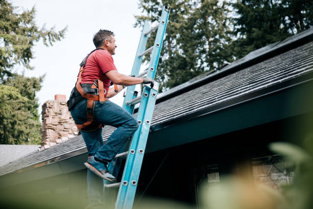 Best Emergency Roof Repair Services  in Harbor Springs, MI